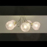 Потолочная люстра Tula 5266/8C Lumion